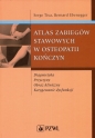 Atlas zabiegów stawowych w osteopatii kończyn - Serge Tixa, Bernard Ebenegger