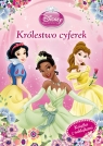 Disney Księżniczka Królestwo cyferek UO4