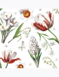 Serwetki DAISY Lunch SD 330x330 Kwiaty 010101