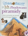 Ciekawe dlaczego Zbudowano piramidy i inne pytania na temat starożytnego Steele Philip