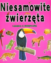 Niesamowite zwierzęta Książka z nalepkami