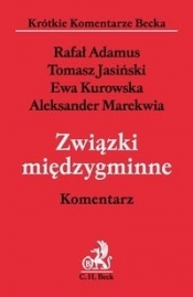 Związki międzygminne Komentarz