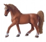 Koń American Saddlebred