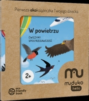 W powietrzu. Ćwiczymy spostrzegawczość 2+ - Opracowanie zbiorowe