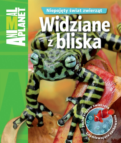 Widziane z bliska