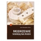 Modrzewie siwieją na rudo - Jacek Niedziela-Meira