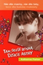 Tam, gdzie rosną dzikie astry - Katherine Parker