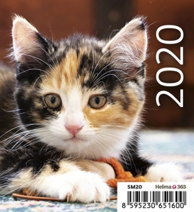Kalendarz biurkowy Mni Kotki 2020 10 sztuk (SM20-20)