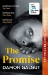 The Promise Galgut	 Damon