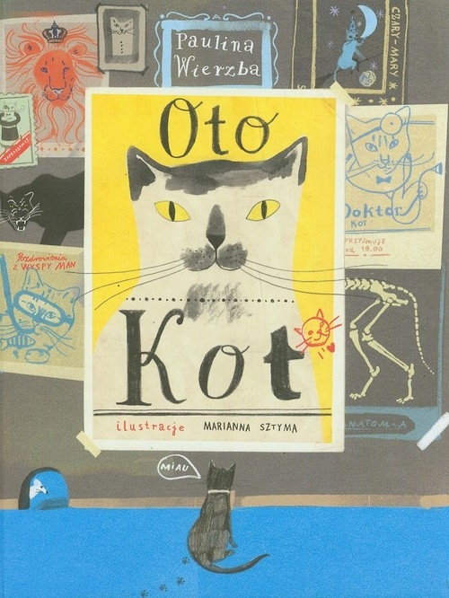 Oto kot