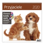 Kalendarz wieloplanszowy Przyjaciele 30x30 2020 (LP56-20)