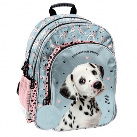 Plecak szkolny - Dalmatian Puppy