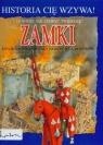 Zamki