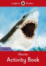 Sharks Activity Book