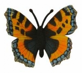 Motyl rusałka pokrzywnik M (88387)