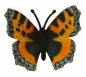 Motyl rusałka pokrzywnik M (88387)