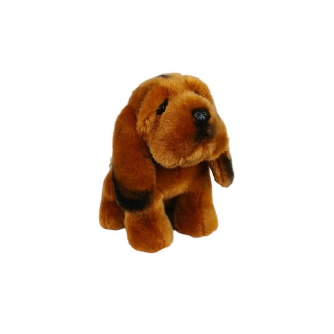 Pies myśliwski św. Huberta