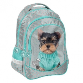 Plecak szkolny Studio Pets PTH-181 PASO