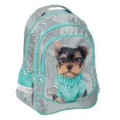Plecak szkolny Studio Pets PTH-181 PASO