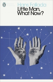 Little Man What Now? - Hans Fallada