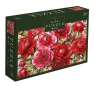 Interdruk, Puzzle 1000: Flowers 9 - Peony Garden