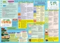 Karta edukacyjna składana j. geografia - świat A4