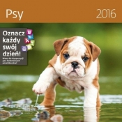 Psy. Kalendarz ścienny 2016 - Opracowanie zbiorowe