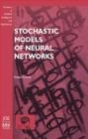 Stochastic Models of Neural Networks