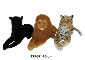 Dzikie koty 45cm MIX