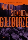 Gołoborze