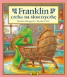 Franklin czeka na siostrzyczkę Paulette Bourgeois