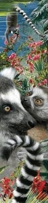 Zakładka 3D Lemur