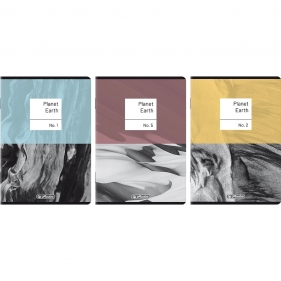 Zeszyt Herlitz Premium Earth A4/80k kratka z marginesem, 1 szt