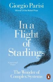 In a Flight of Starlings - Giorgio Parisi