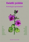 Kwiatki polskie. Antologia opowiadań praca zbiorowa