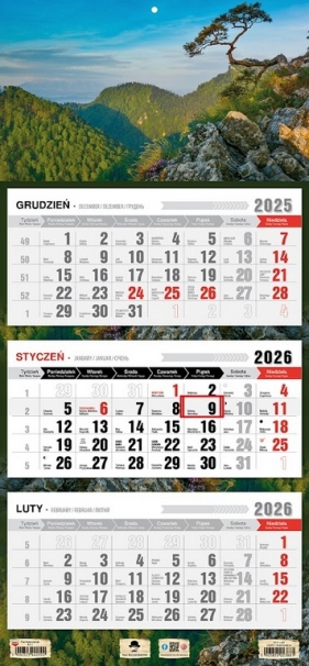 Kalendarz 2026 trójdzielny płaska główka - Sokolnica