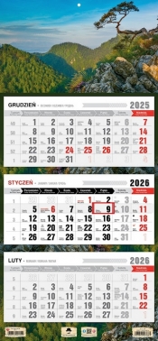 Kalendarz 2026 trójdzielny płaska główka - Sokolnica