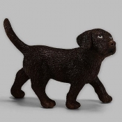 Labrador szczenię (16388) - <br />