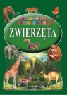 Zwierzęta Ilustrowana Encyklopedia