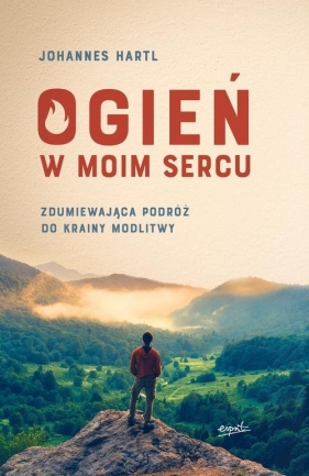 Ogień w moim sercu - Johannes Hartl