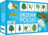 Gra Memory - Drzewa Polski (7882) od 5 lat
