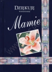 DZIĘKUJE WSPANIAŁEJ MAMIE TW - Opracowanie zbiorowe