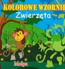 Książeczka kolorowe wzorniki MIX