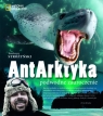 AntArktyka Podwodne zauroczenie Stróżyński Bartosz