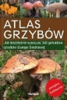 Atlas grzybów Jak bezbłędnie oznaczać 340 gatunków grzybów Europy Giminder Andreas