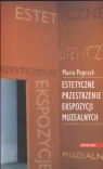 Estetyczne przestrzenie ekspozycji muzealnych