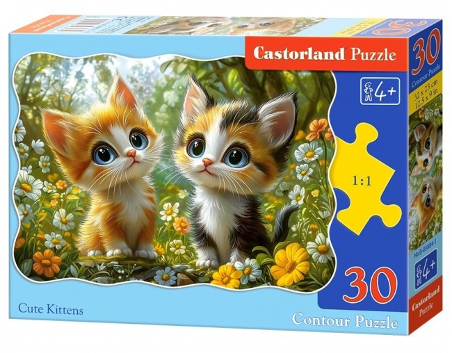 Puzzle 30 Cute Kittens CASTOR