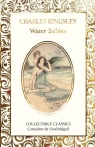 Wodne dzieci / The Water-Babies TW [ENG] Charles Kingsley
