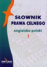 Słownik prawa celnego angielsko-polski Piotr Kapusta