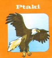 Ptaki. Mini-kostka - Aleksander Małecki